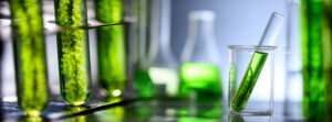 Bio Fuel Testing