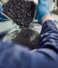 Inspection and Laboratory Analysis for Coal Testing